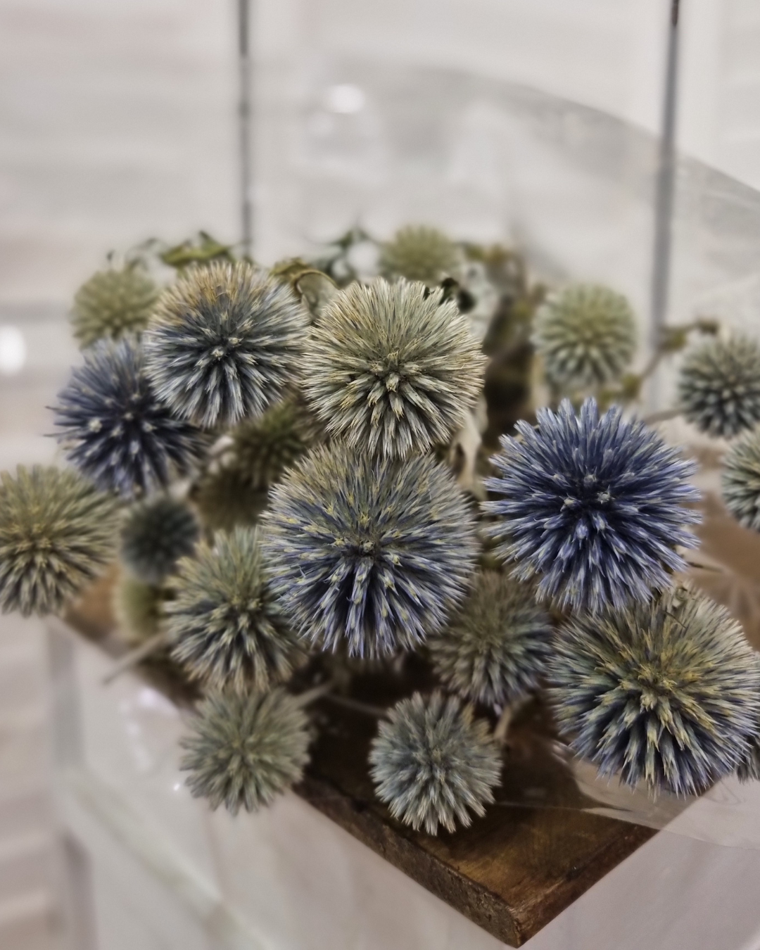 WEBSHOP BEAU FLEUR AFBEELDINGEN - 2025-02-26T201753.277 Bos gedroogde blauwgrijze kogeldistels