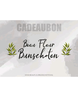Cadeaubon Beau Fleur Bunschoten 25,00